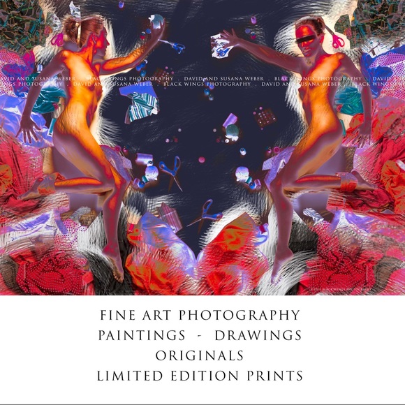 Black Wings Studio / Gallery - Picture 8 of 8